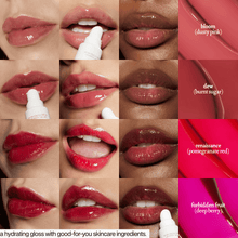 Load image into Gallery viewer, Lip Vault