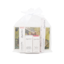 Load image into Gallery viewer, Genesis Collection
